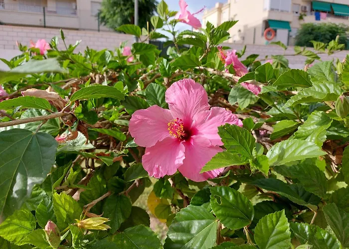 Apartman Spacious Flat 100m From Beach-nerja-spain *